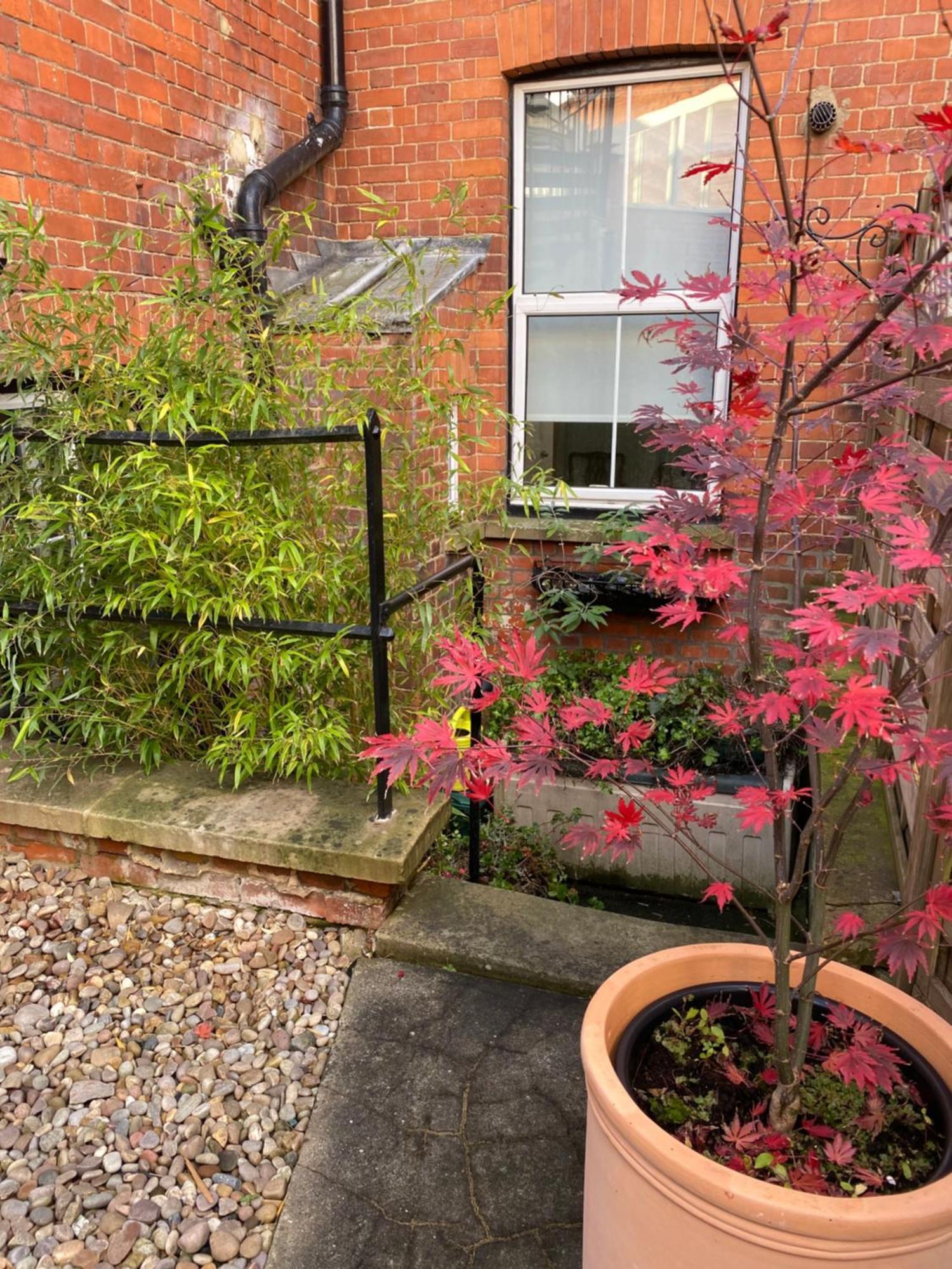 Deluxe Three Bed Bnb In Henley-On-Thames Near Station River & Town Centre 外观 照片